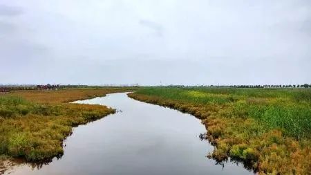 看“紅海灘”奇觀！濱城這處觀景長廊升級(jí)