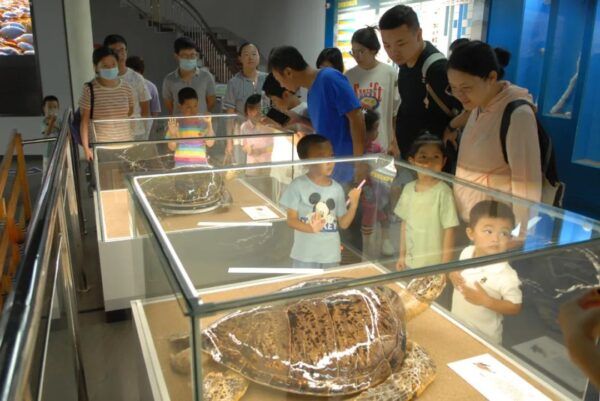 古林古海岸遺跡博物館“探索奇妙的海洋世界”，了解古海岸的奧秘~