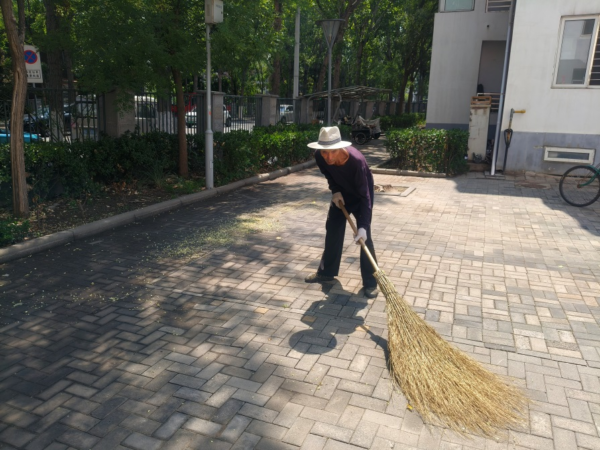 一張熱線工單的故事｜探索基層治理新模式：同參與共治理，讓家園更美麗！